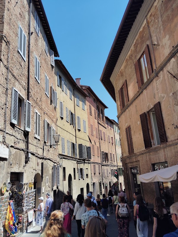 Vista Panoramica de Siena 5