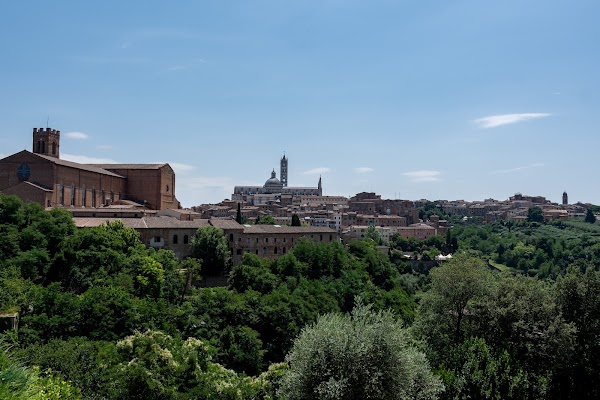 Vista Panoramica de Siena 4