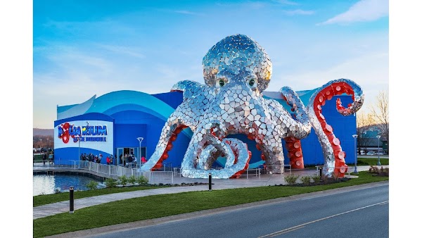 Aquarium at the Boardwalk 1