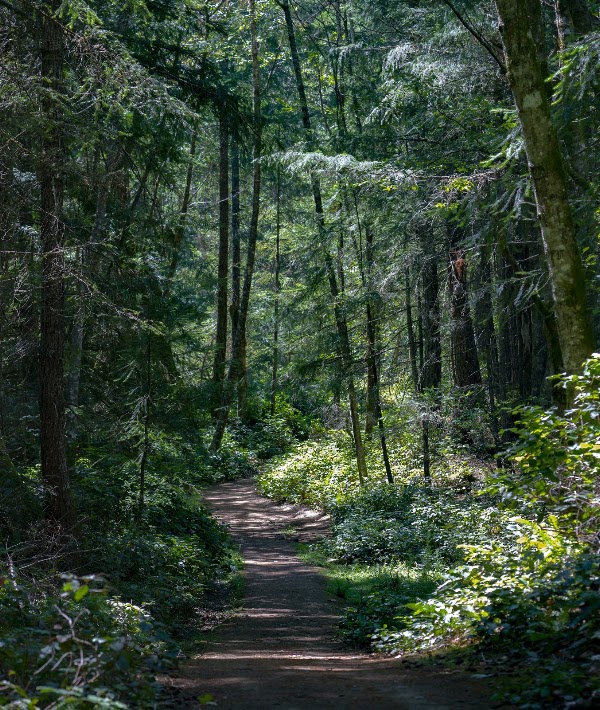 Stoney Hill Regional Park 4