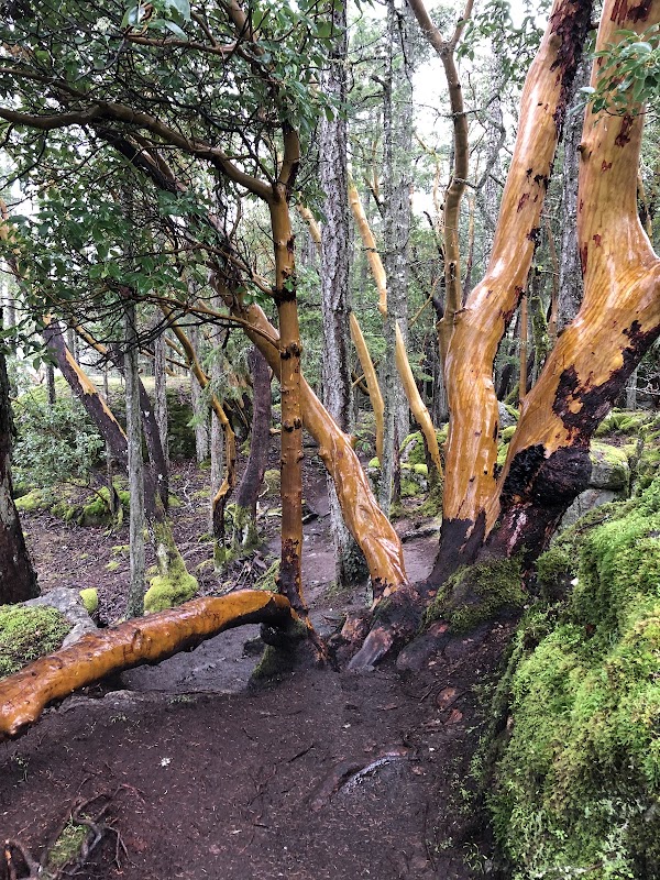 Stoney Hill Regional Park 2