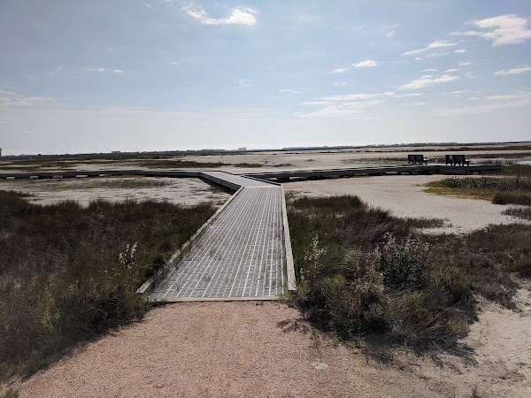 Port Aransas Nature Preserve at Charlie's Pasture 1