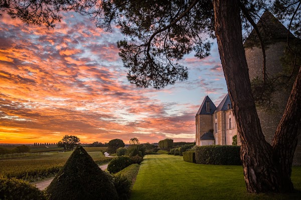 Château d'Yquem