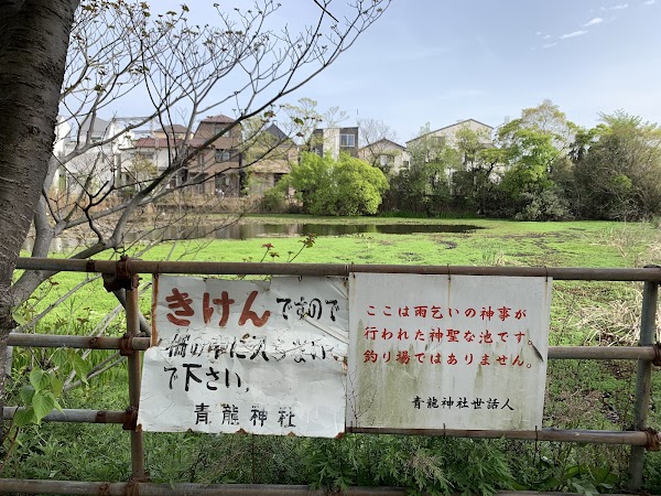 Kenashi Pond 4