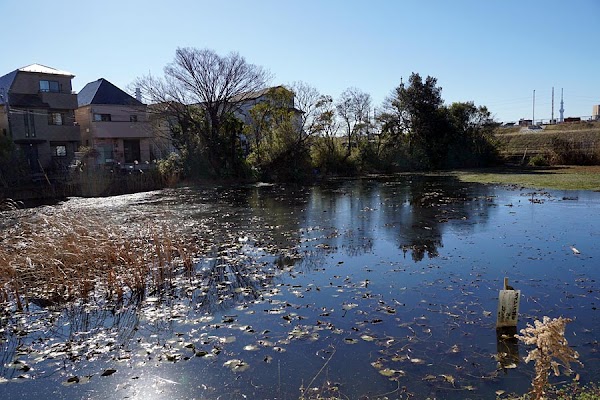 Kenashi Pond 3