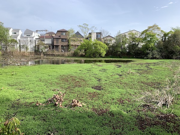 Kenashi Pond 2