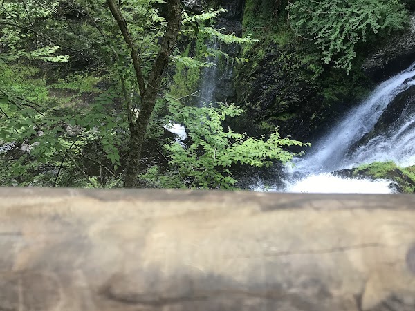 Rest Area Lookout 2