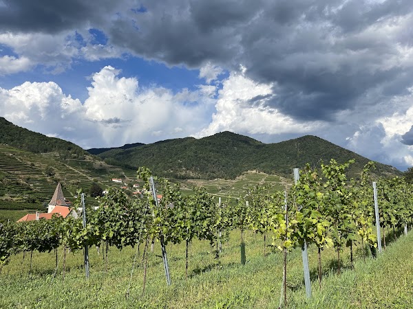 Tausendeimerberg 1