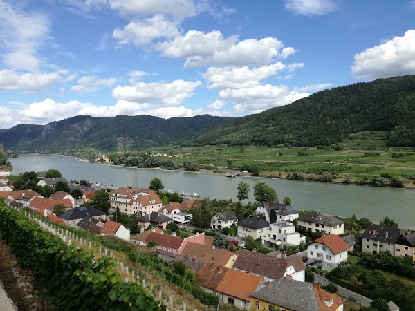 Tausendeimerberg 5