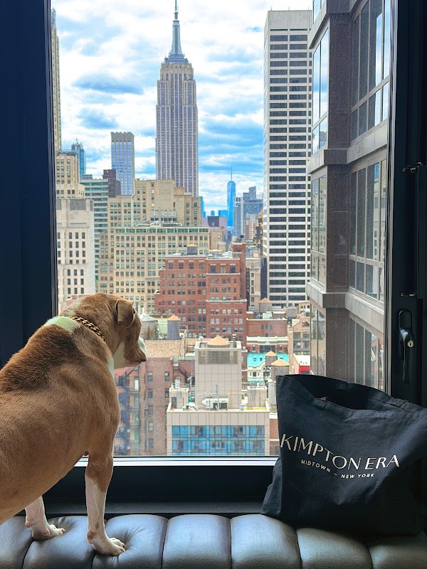 Kimpton Era Midtown New York