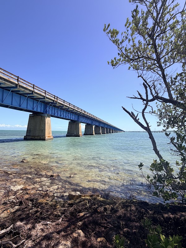 Pigeon Key Island Train Tour