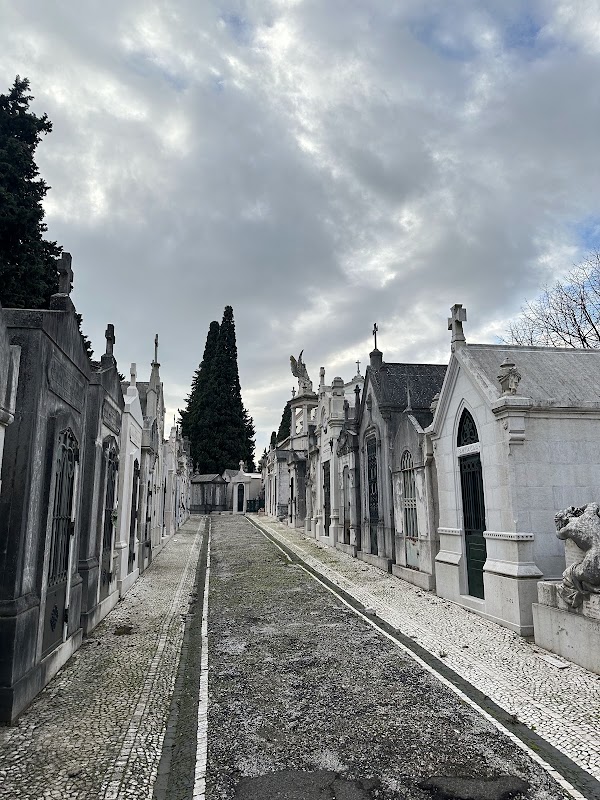Prazeres Cemetery Lisbon 5