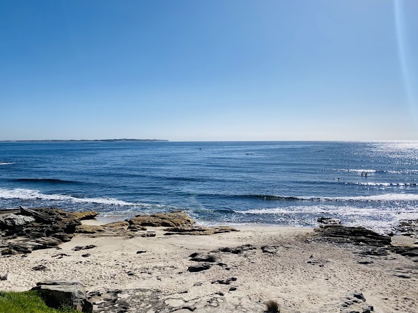 Oak Park Beach 2