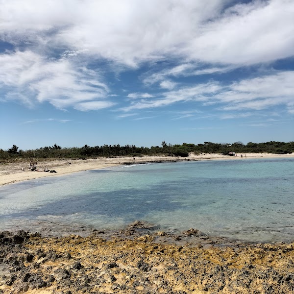 Torre Guaceto Marine Protected Area 4