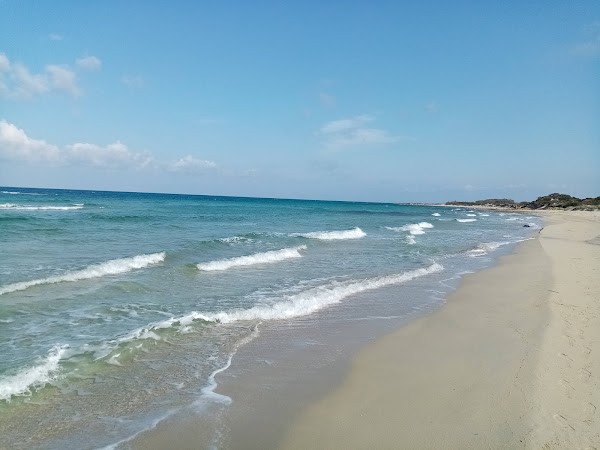 Torre Guaceto Marine Protected Area 3