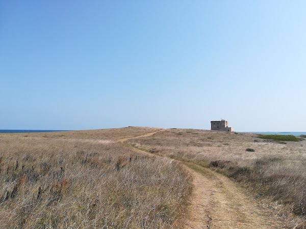 Torre Guaceto Marine Protected Area 2