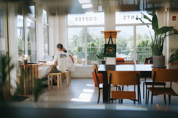 Wonderlands | Coffee & Plants