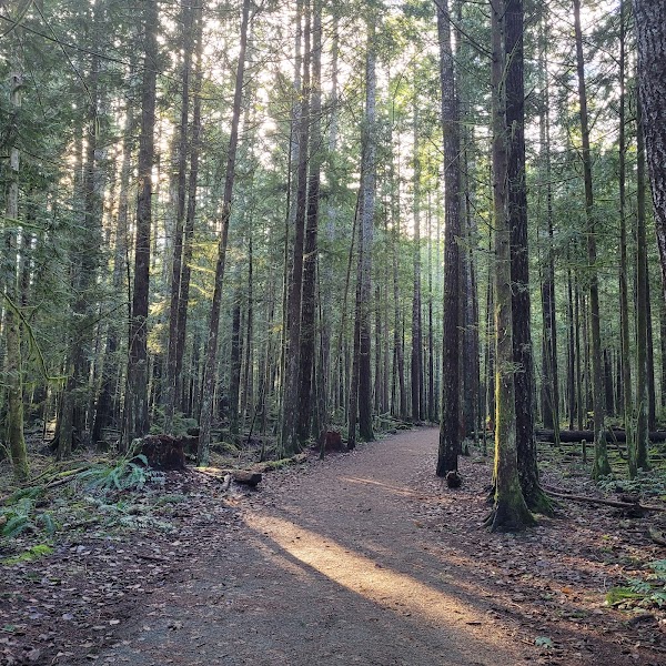 Nymph Falls Nature Park 3