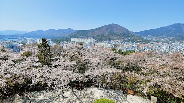 제황산공원