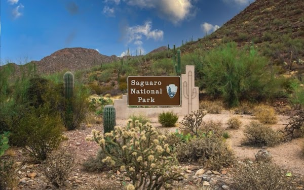Saguaro National Park 5