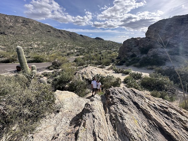 Saguaro National Park 3