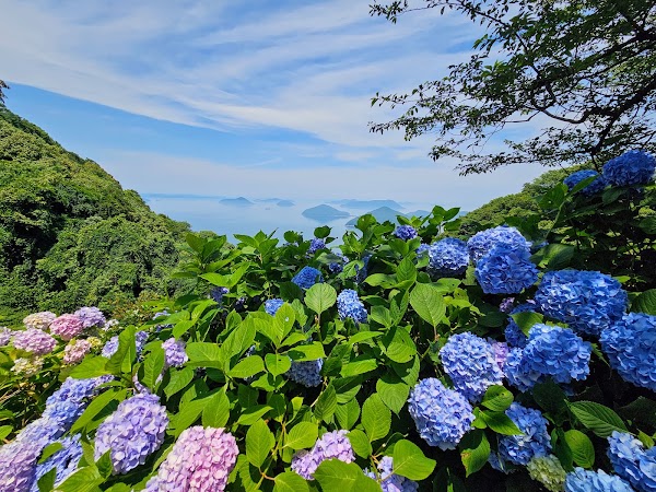 Shiudeyama 5