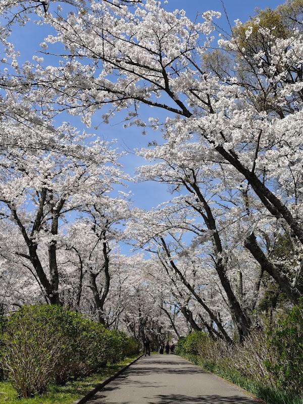 Shiudeyama 3
