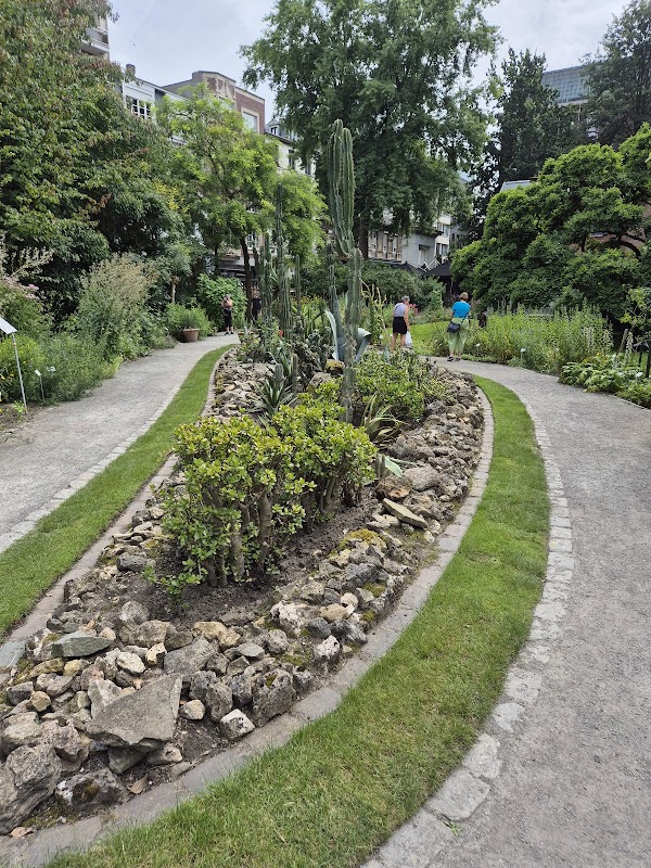 Plantentuin 5
