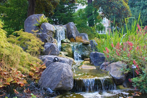 Plantentuin 2
