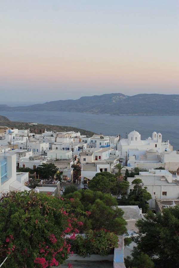 Plaka 5