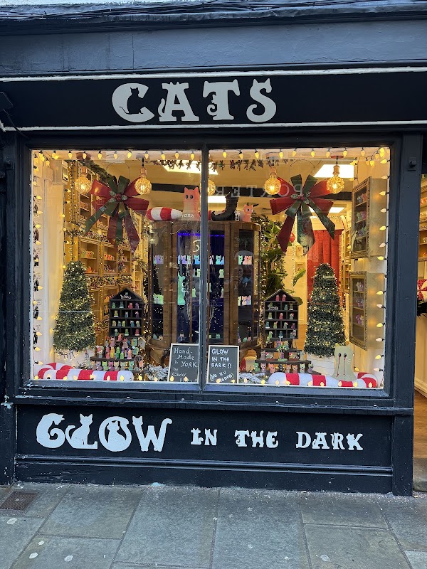GLOW CATS