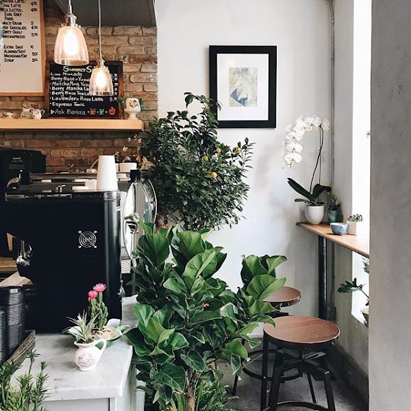 Remi Flower & Coffee 1