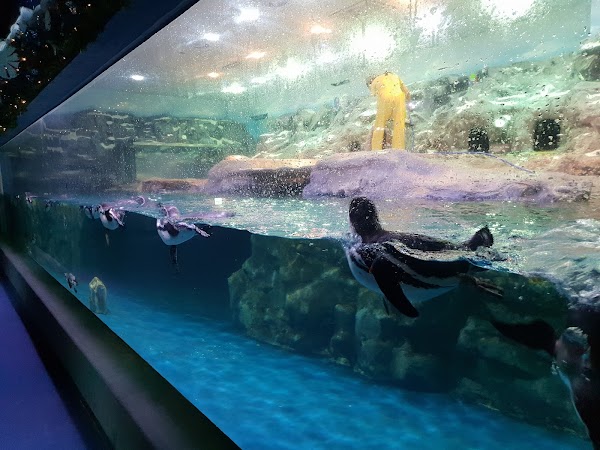 LOTTE WORLD AQUARIUM 3