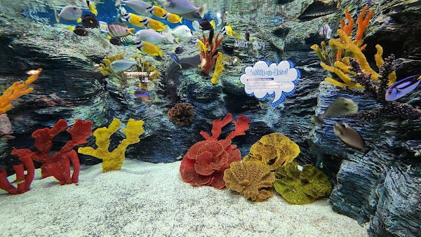LOTTE WORLD AQUARIUM 2