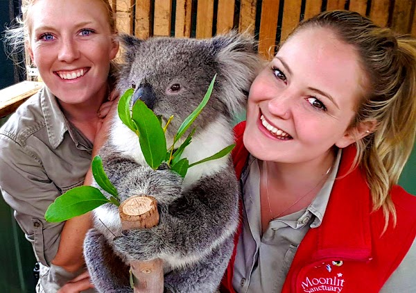 Moonlit Sanctuary Wildlife Conservation Park