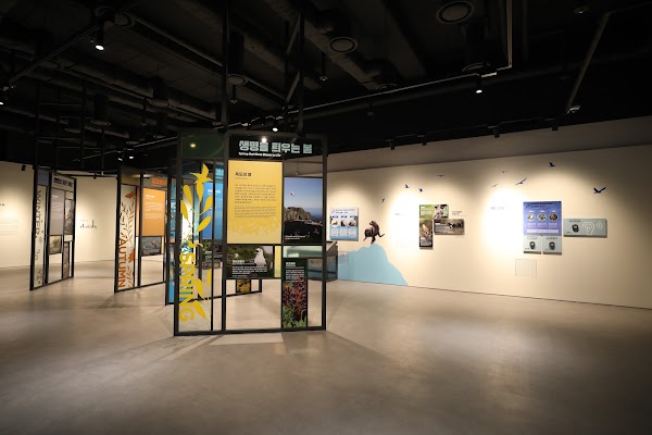 Dokdo Museum Seoul 4