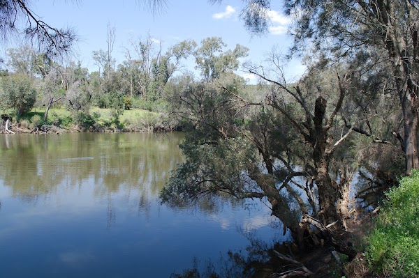 Walyunga National Park 5