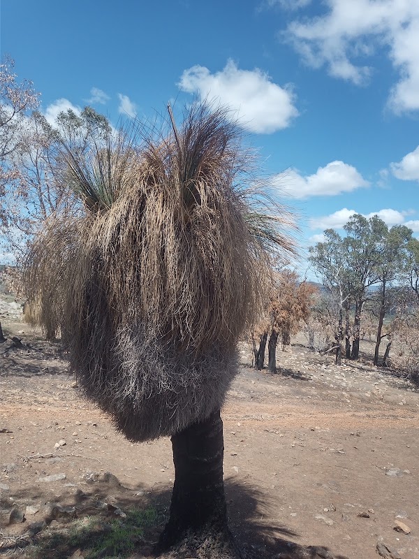 Walyunga National Park 4