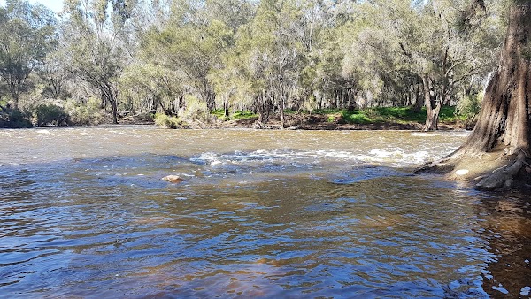 Walyunga National Park 3