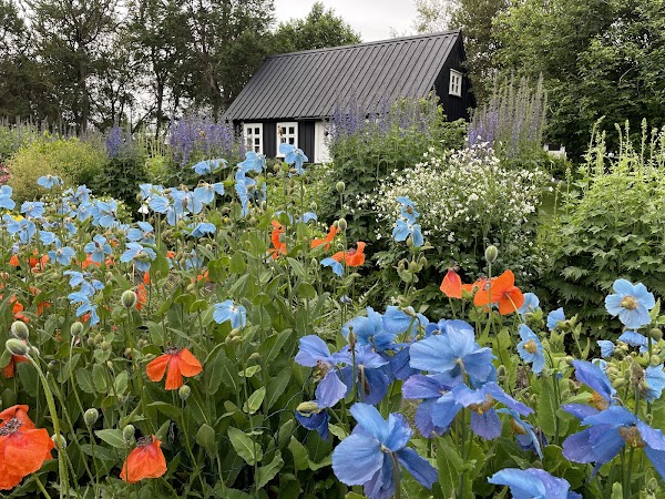 Akureyri Botanical Garden 3