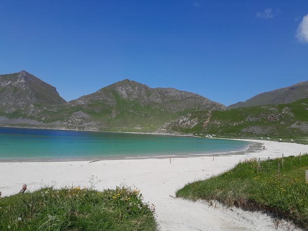 Vik Strand 1