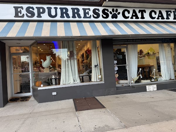 Espurresso Cat Cafe 有「意式」猫咖