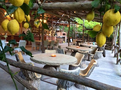 Amalfi Lemon Experience