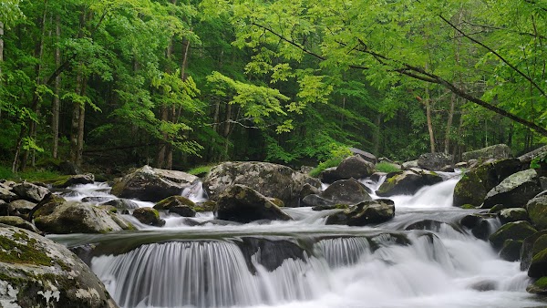 Little Pigeon River