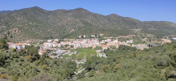 Colera