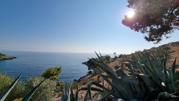 Plaža Dubovica 2