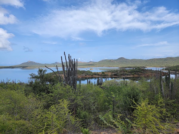 Bonaire 7