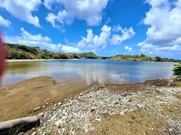 Goto Lake 5