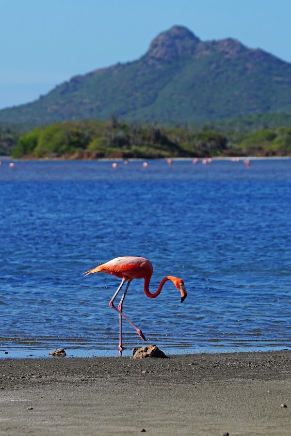 Goto Lake 4