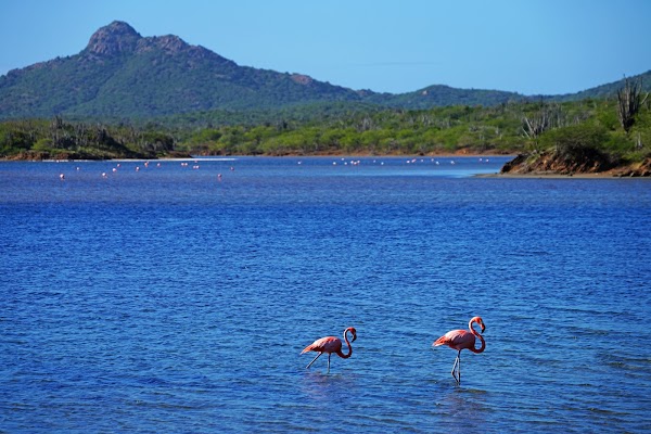 Goto Lake 3